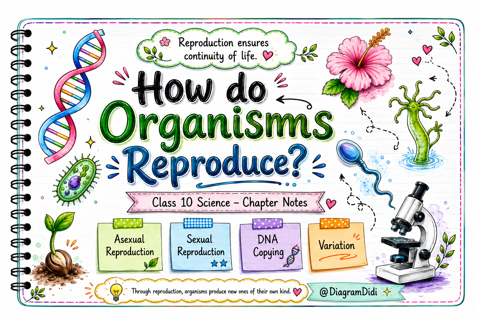 How Do Organisms Reproduce? – Class 10 Science Notes (CBSE)