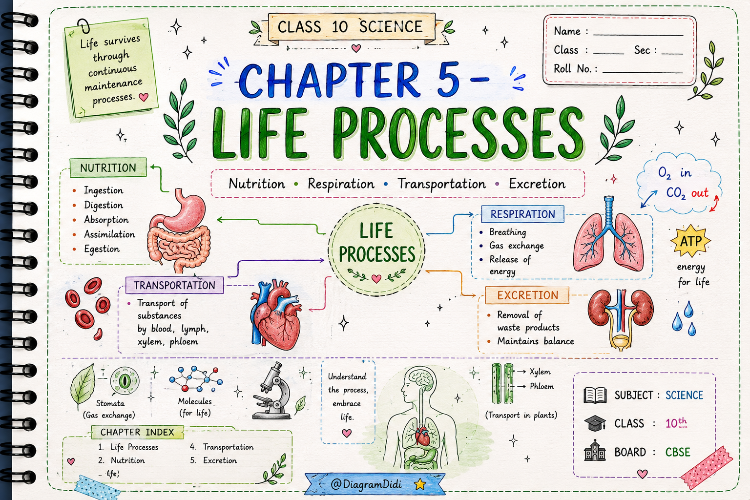 Life Processes Premium Handwritten Notes PDF | CBSE 2026